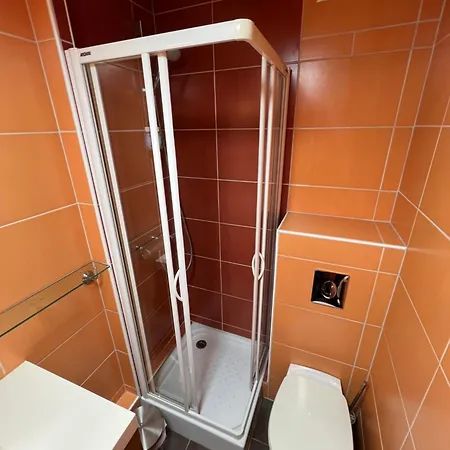 公寓 Des Amoureux 科尔马