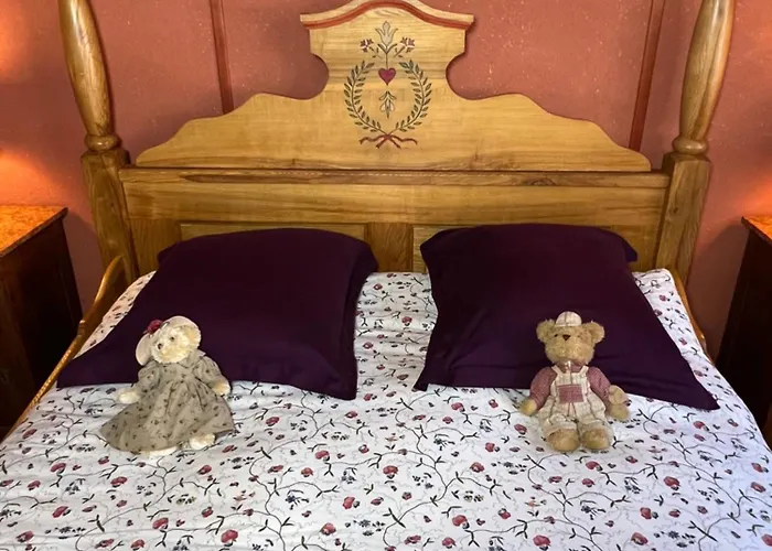 Des Amoureux كولمار